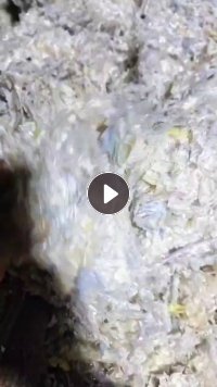 长期出售pvc沙发膜破碎料，水洗晒干，可造粒