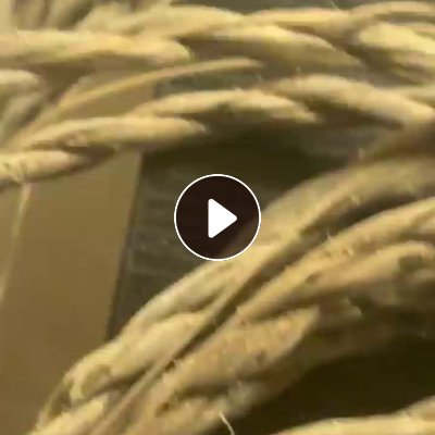 长期大量出售养殖绳子，有带尼龙材质，每个月几千吨，厂在山东青岛