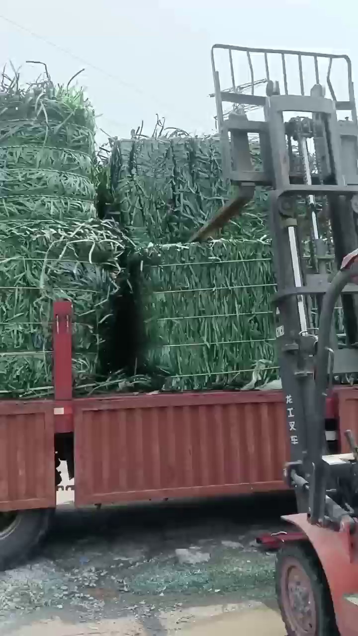 回收pet打包带毛料，月需200吨