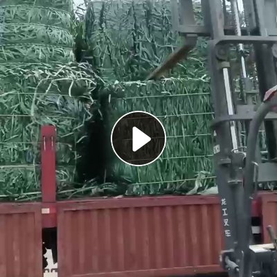 回收pet打包带毛料，月需200吨