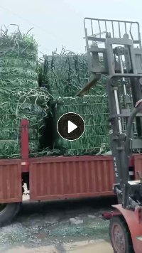 回收pet打包带毛料，月需200吨