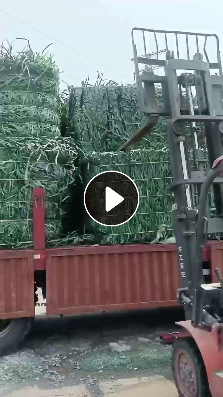 回收pet打包带毛料，月需200吨
