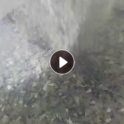 长期大量出售二级蓝白瓶片 月供600吨 