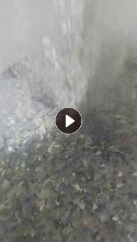 长期大量出售二级蓝白瓶片 月供600吨
