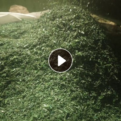 出售聚酯打包带破碎料，干粉