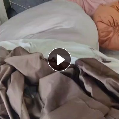 长期大量出售涤纶废布，涤纶毛毛料，部分颜色，统货走，一天就有10吨左右，货在江苏盐城