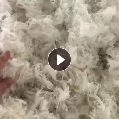 出售尼龙脱模布破碎料，单六，月供300吨