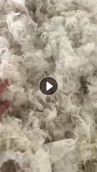 出售尼龙脱模布破碎料,单六,月供300吨