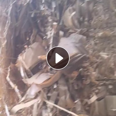 长期求购黄白淋膜纸，淋膜纸边条