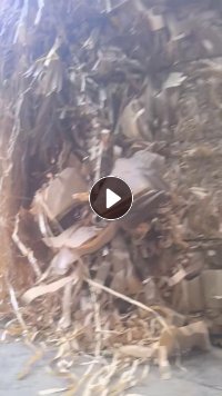 长期求购黄白淋膜纸，淋膜纸边条