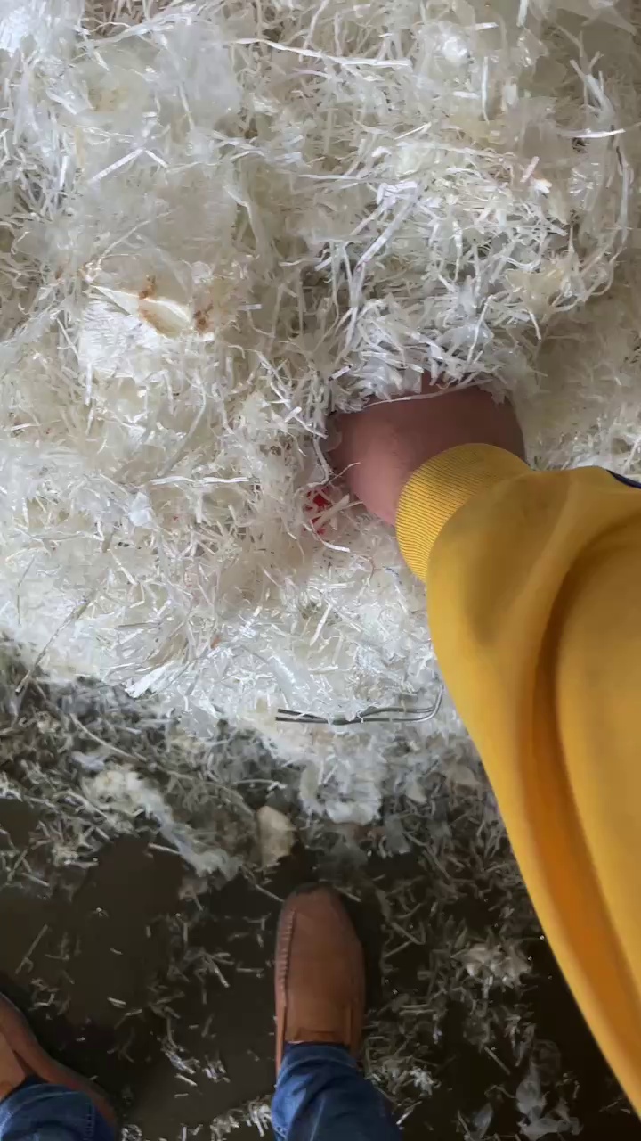 出售水粉大白吨包丝，两天一挂车