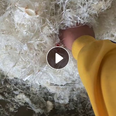 出售水粉大白吨包丝，两天一挂车