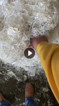 出售水粉大白吨包丝，两天一挂车