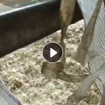 出售干粉PP餐盒破碎料，长期有货