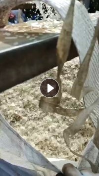 出售干粉PP餐盒破碎料,长期有货