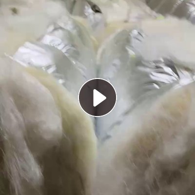 长期出售涤锦废丝，涤80锦20，现货有20-30吨，货在浙江宁波