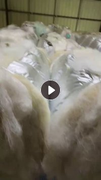 长期出售涤锦废丝，涤80锦20，现货有20-30吨，货在浙江宁波