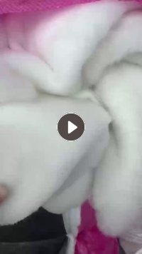 长期出售热风棉,热点棉边角料,货在广东惠州