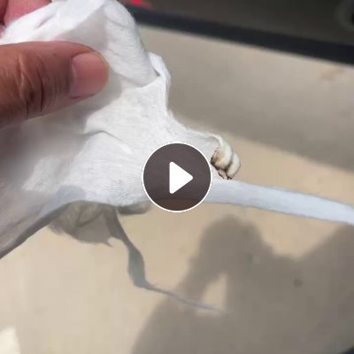 长期出售涤纶无纺布边角料，无纺布废料，现货1挂车