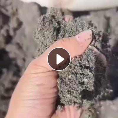 出售PE沫子，300吨，出4-5个油