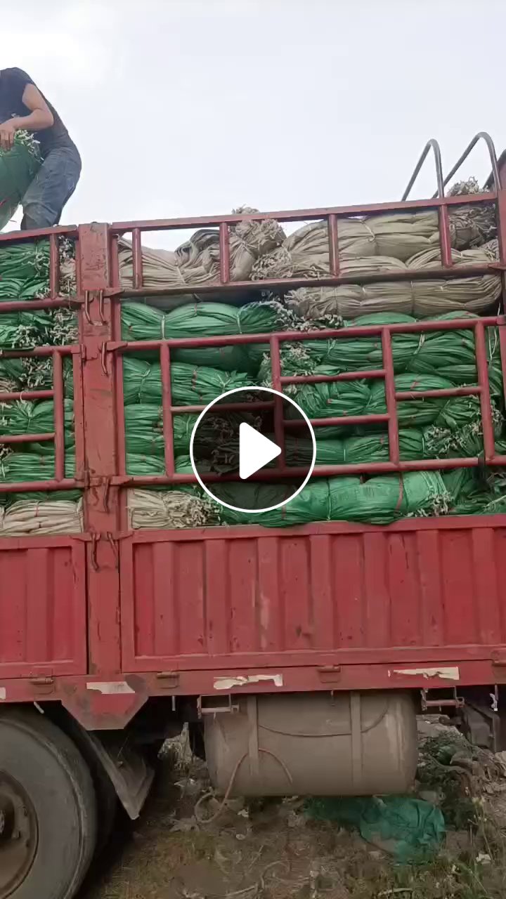出售二手编织袋，60*100这种规格居多