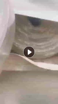 出售卷筒pet复合tpu车衣膜,现货20吨,无胶
