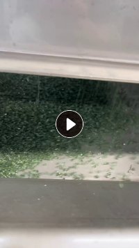 出售PC色透颗粒,冲击60到65之间,溶脂15到18之间,可按要求制定订单