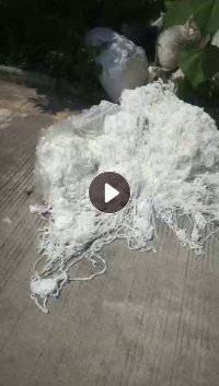 长期出售涤氨水丝，涤氨废丝，现货13米3车