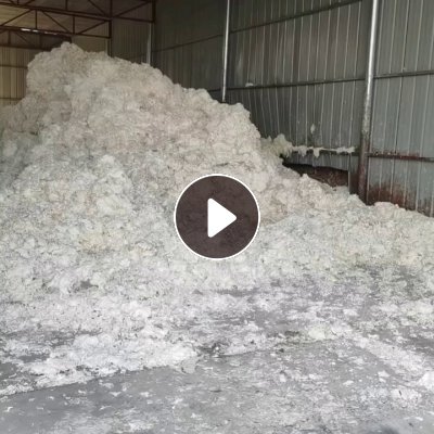 出售白色美纹纸粉碎料