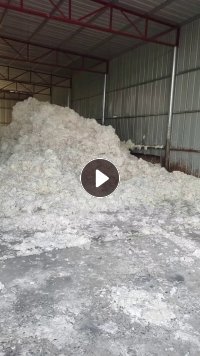 出售白色美纹纸粉碎料