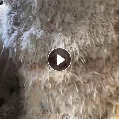 大量求购水洗PE淋膜边料，月需2000吨