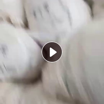 长期出售梭织涤棉本白的废布，大块布，现货120吨，厂在天津