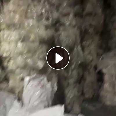 出售一级干造高压膜废料，现货32吨