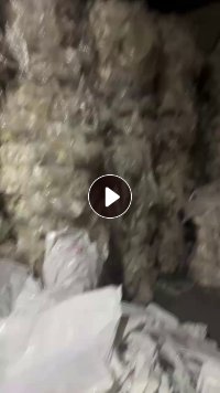 出售一级干造高压膜废料，现货32吨