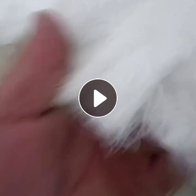 长期出售尼龙单6废丝，尼龙干丝，锦纶水丝，锦纶废丝，现货一起50吨左右