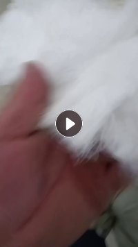 长期出售尼龙单6废丝，尼龙干丝，锦纶水丝，锦纶废丝，现货一起50吨左右