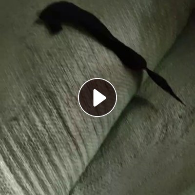 长期出售白烟布，锦氨废布，泳装边角料，货在广东揭阳