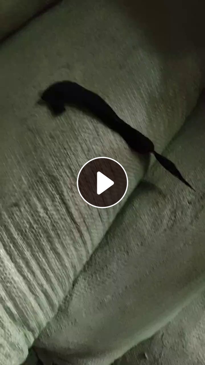长期出售白烟布，锦氨废布，泳装边角料，货在广东揭阳