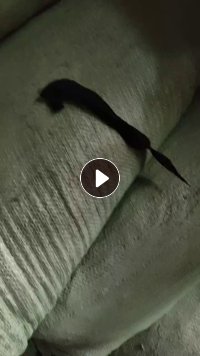 长期出售白烟布,锦氨废布,泳装边角料,货在广东揭阳