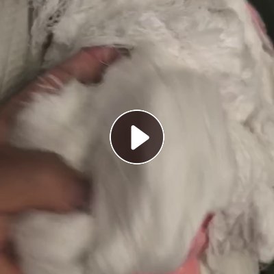 长期出售涡流纺下来的黏胶回丝，回丝，现货有200吨，货在山东潍坊