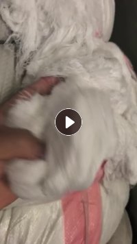长期出售涡流纺下来的黏胶回丝,回丝,现货有200吨,货在山东潍坊