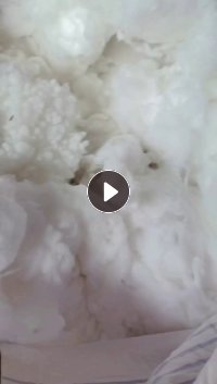 长期出售枕芯棉,化纤棉,丝绵被,古棉,一起购17米一车,厂在河南信阳