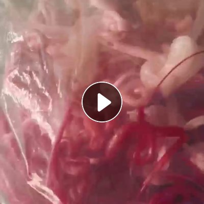 出售pp、tpu、pa混合机头料，现货14吨