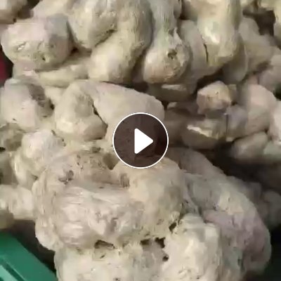 出售eps热熔块，月供20吨