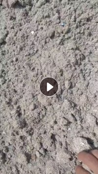 出售PVC塑钢沫子