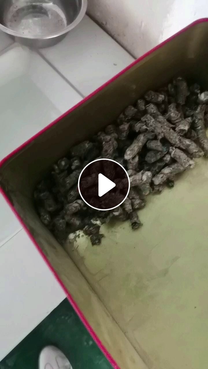 出售全漂编织袋PP/PE毛毛虫颗粒