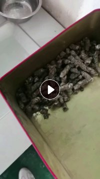出售全漂编织袋PP/PE毛毛虫颗粒