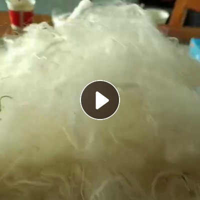 出售涤丙废丝，涤丙混合丝，现货25吨左右