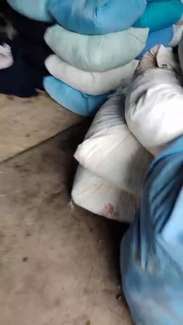 长期出售涤纶废布和涤氨废布，分开装了，染厂下来的大块布，现货20多吨，厂在江苏苏州