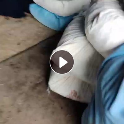 长期出售涤纶废布和涤氨废布，分开装了，染厂下来的大块布，现货20多吨，厂在江苏苏州